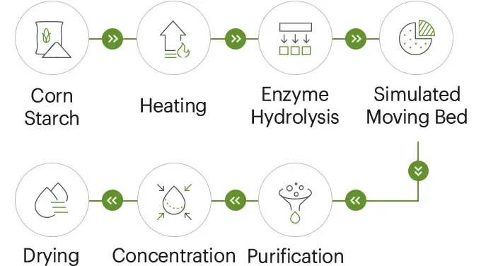 Resistant dextrin production process workflow with key control points