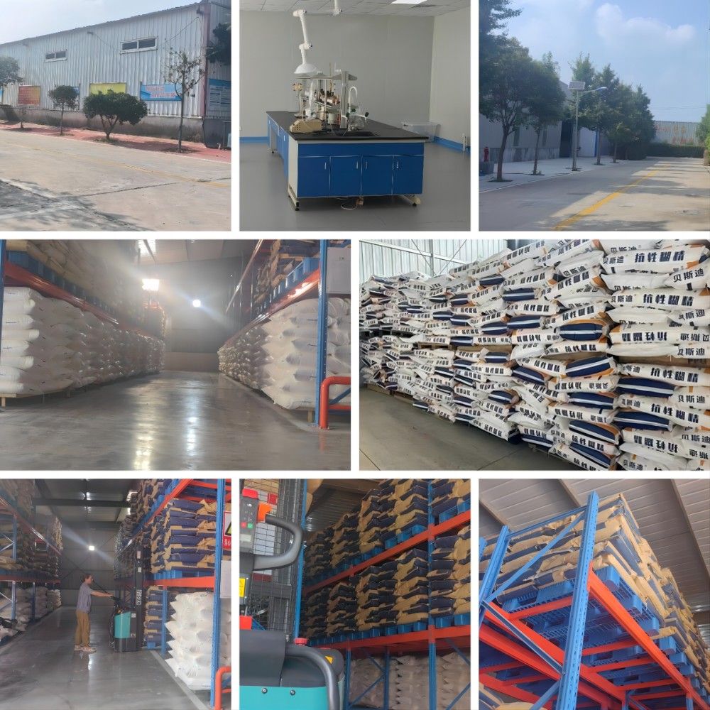 Automated production workshop showing modern manufacturing environment